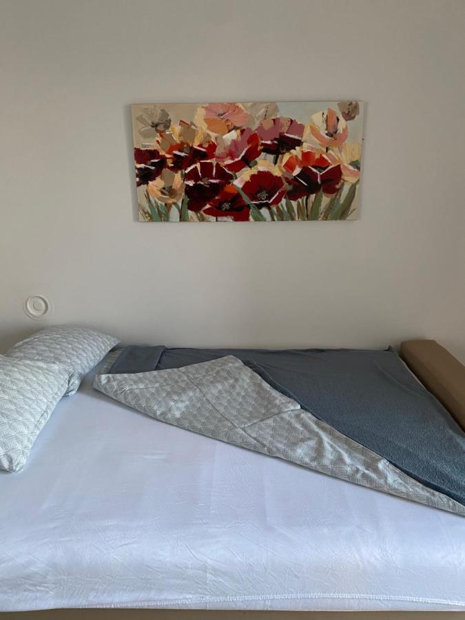 Apartman Colapis- Self Check In, Free Parking, Premium Location! Karlovac Eksteriør billede