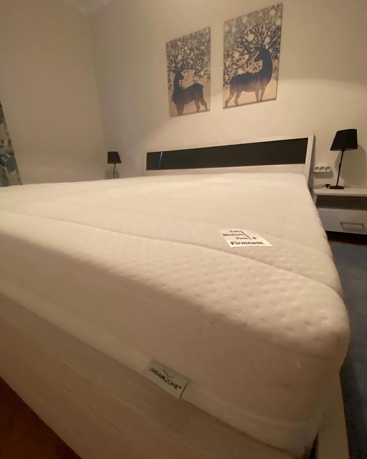 Apartman Colapis- Self Check In, Free Parking, Premium Location! Karlovac Eksteriør billede